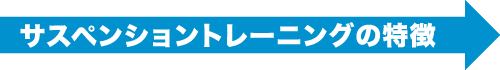 サスペンショントレーニングの特徴